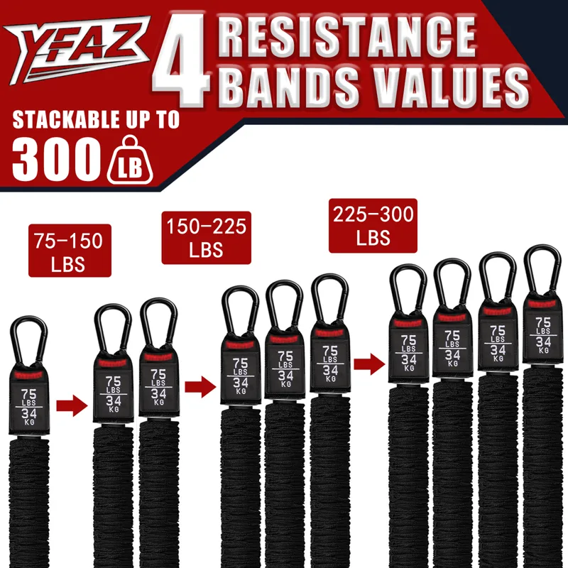Pull Up Assistance Bands 260lb - đánh giá và giá Pull Up Assist Band