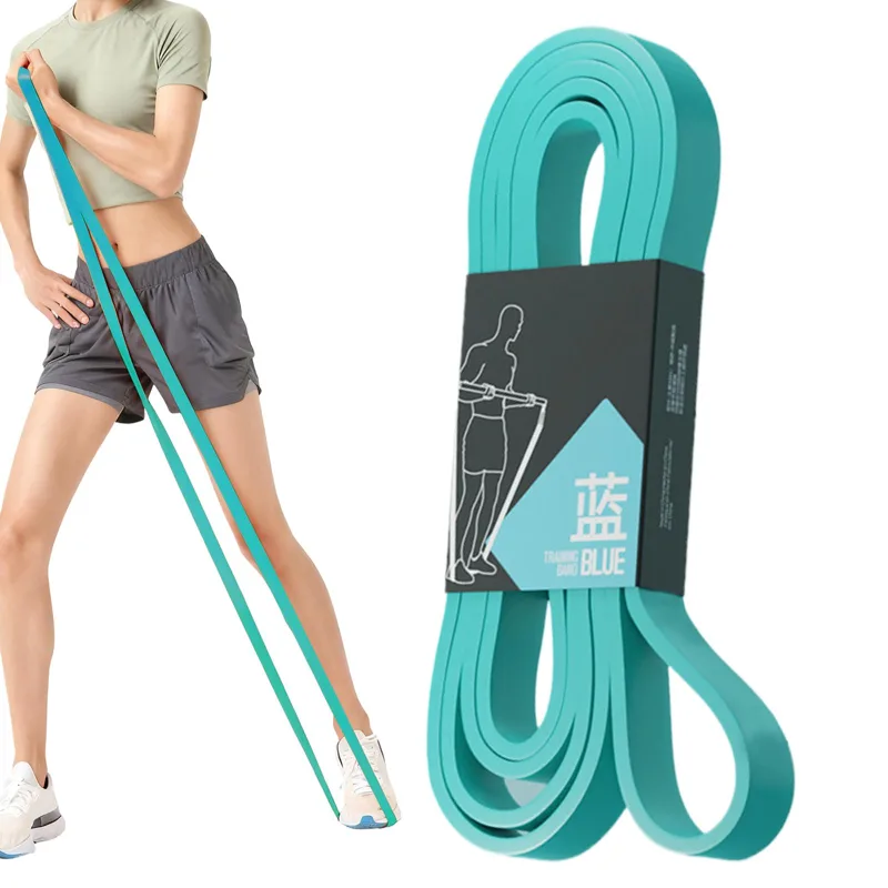 1pc Workout Resistance Bands E - đánh giá và giá Pull Up Assist Band