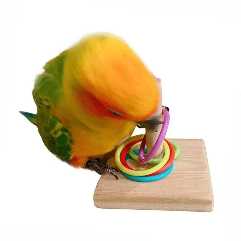 Bird Training Ring Toy Parrot  - đánh giá và giá Gymnastic Ring Wood