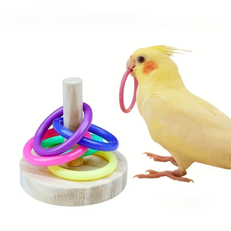 Wooden Interactive Parrot Ring - đánh giá và giá Gymnastic Ring Wood
